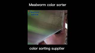 Mealworm colour sorter machine mini color sorter machine [upl. by Tnomal177]