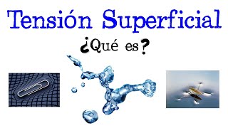 💧 ¿Qué es la Tensión Superficial 💦 Fácil y Rápido  FÍSICA   QUÍMICA [upl. by Chlori]