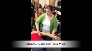 Manual Muscle Test for Latissimus Dorsi and Teres Major [upl. by Aihsoem]