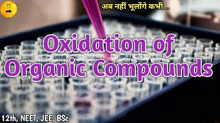 Oxidation of organic compounds Chemistry Junction [upl. by Aketal272]