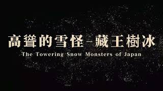 高聳的雪怪  藏王樹冰 The towering snow monsters of Japan [upl. by Aikel913]