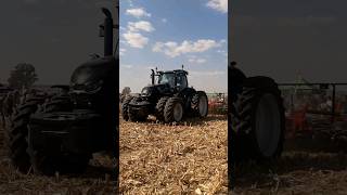 Case Optum 300 caseih farming [upl. by Madonia]