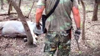 Amazing Eland Hunt by Handgun  1 North American Eland Hunting Record at Texas VBharre Ranch [upl. by Eneloc]