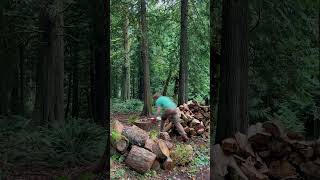 🧿Firewood splitting and stacking timelapse [upl. by Arlana733]