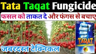 Tata Taqat Fungicide । Taqat Fungicide । Captan 70Hexaconazole 5WP । सस्ता और टिकाऊ फंगीसाइड [upl. by Aicital]