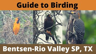 Guide to Birding BentsenRio Grande Valley State Park amp National Butterfly Garden [upl. by Perkoff]