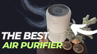 The BEST Air Purifier  LEVOIT Core 300P Review [upl. by Johanna]