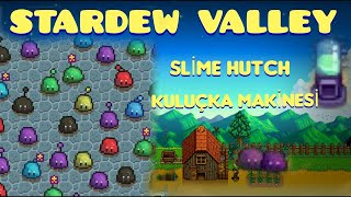 STARDEW VALLEY KULUÇKA MAKİNESİ Balçıkça Kuluçka Makinesi Nasıl Yapılır [upl. by Lyford]