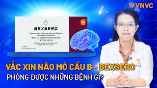 Vắc xin não mô cầu B Bexsero phòng được bệnh gì  VNVC [upl. by Amlev]