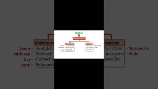 Cholinergic Agonists Mnemonics [upl. by Eylloh561]