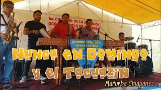 Nunca en Domingo y el Tacuazin  Marimba Reyna Coiteca [upl. by Stoller]