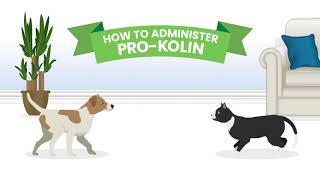 How to give ProKolin to your pet [upl. by Diena]