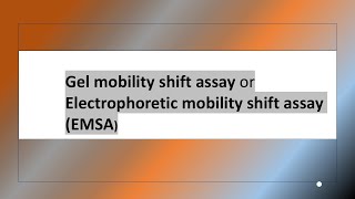 Gel mobility shift assay [upl. by Sly388]