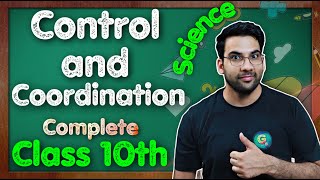 Control and Coordination Class 10 Science Chapter 7  Chapter 8  CBSE NCERT KVS [upl. by Snell]