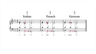 20 Augmented Sixth Chords [upl. by Artenra795]