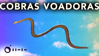 como COBRAS VOAM [upl. by Eivets]