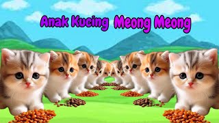 Anak Kucing Gembul Lucu😹 ANAK KUCING MEONG MEONG‼️ FUNNY KITTEN VIDEOS funnyanimals funnycats [upl. by Llennyl]