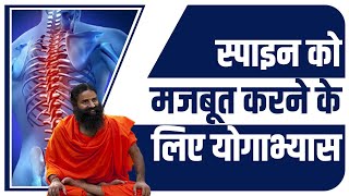 स्पाइन Spine को मजबूत करने के लिए योगाभ्यास  Swami Ramdev [upl. by Lysander]