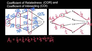 Coefficient of Relatedness and Coefficient of Inbreeding Explained [upl. by Redfield]