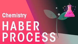 The Haber Process amp Its Environmental Implications  Reactions  Chemistry  FuseSchool [upl. by Ayocat]