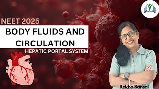 Chapter 15 Body Fluids and Circulation Human Circulatory System Hepatic Portal System [upl. by Currie]