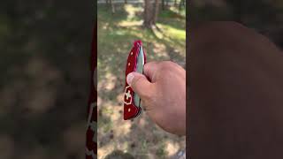 VICTORINOX HUNTER PRO knife [upl. by Gnud]