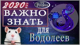 ВОДОЛЕЙ Гороскоп на 2020 год крысы [upl. by Tawsha]