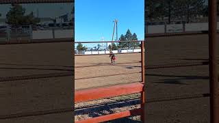 Highland Games  Caber Toss [upl. by Web]