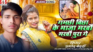 Song  Pramod Bedardi  गमछी बिछा के माजा मरबौ मरबौ पुरा गै  New Mast Song 2024 [upl. by Thorin38]