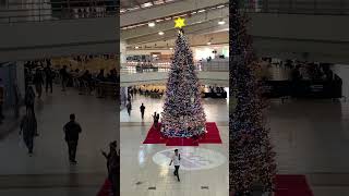 A beautiful Christmas tree🎄🎄🎄viralvideo trendingshorts shortsvideo christmasiscoming [upl. by Paquito]