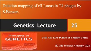 Lecture No 25Deletion mapping of rII Locus in T4 phages by SBenzer inheritancebiologyCSIRJRF [upl. by Atnwahsal890]