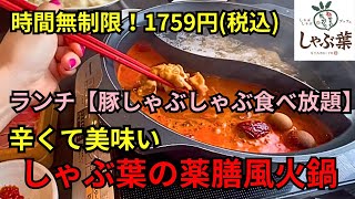 【時間無制限で食べ放題】しゃぶ葉の薬膳風火鍋を色々な食べ方で食べると最高！ [upl. by Billmyre413]