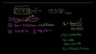 Michelis Menten Kinetics [upl. by Allicserp]