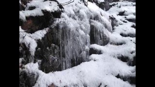 雪積もる仁風閣と鳥取城跡 Snowy Tottori City in Japan [upl. by Orimlede908]