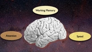 Exploring the Crossroads of Attention and Memory in the Aging Brain Views from the Inside [upl. by Buckler]