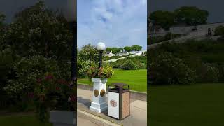 Beautiful Lilacs In Bloom  Mackinac Island Lilac Festival mackinacisland lilac flowers [upl. by Karin]