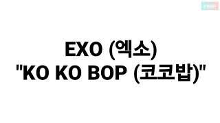 EXO 엑소  KO KO BOP 코코밥 LYRICS 가사 [upl. by Vey857]