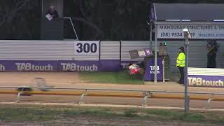 Mandurah01102024Race1 [upl. by Elegna812]