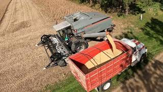 Its a R50 Gleaner  Our First  120 Acre Farmer harvestchaser [upl. by Fabrianna]