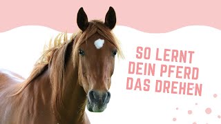 🐴 Bringe deinem Pferd ganz einfach das DREHEN bei  ✅ Schritt für Schritt Anleitung [upl. by Brightman]