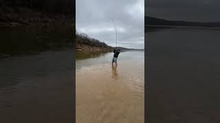 Catching a OKLAHOMA Dinosaur‼️ oklahoma fishing paddlefish dinosaur [upl. by Strander]