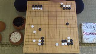 【特別企劃】Alphago Zero 有多強【第四集】以後連子都不敢吃 連空都不敢圍 連棋都不敢 [upl. by Malek]