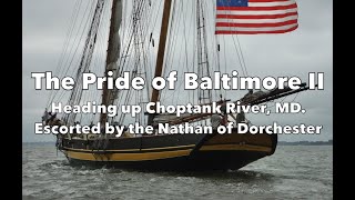 The Nathan and Pride II heading up the Choptank 2024 [upl. by Dearden58]