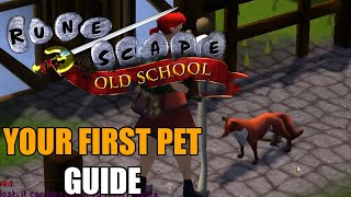 Your First Pet Guide  Old School RuneScape [upl. by Torrey602]