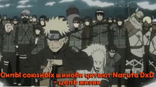 Силы союзных шиноби читают Naruto DxD цель жизнимАльтернативный сюжет DXD [upl. by Aohk]