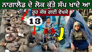 ਨਾਗਾਲੈਡ ਦੇ ਲੋਕ ਕੁੱਤੇ ਸੱਪ ਖਾਦੇ ਆ  Dog Market Dimapur Nagaland [upl. by Ahsirtak]