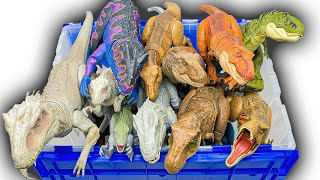 MASSIVE TRex vs Indominus Rex Collection Haul  TRex IRex Giganotosaurus Spinosaurus amp More [upl. by Stanfill]