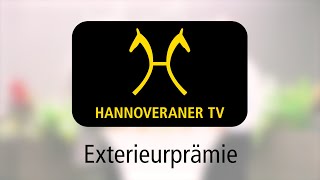 Hannoveraner TV Exterieurprämie [upl. by Dulcia]