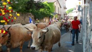 Les 3 jours dAveyron et transhumance 2017 à Saint geniez dolt 26 au 28 mai 2017 [upl. by Neu]