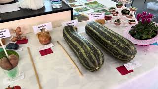 Abbots Allotments Summer Show  September 2024 [upl. by Massarelli]